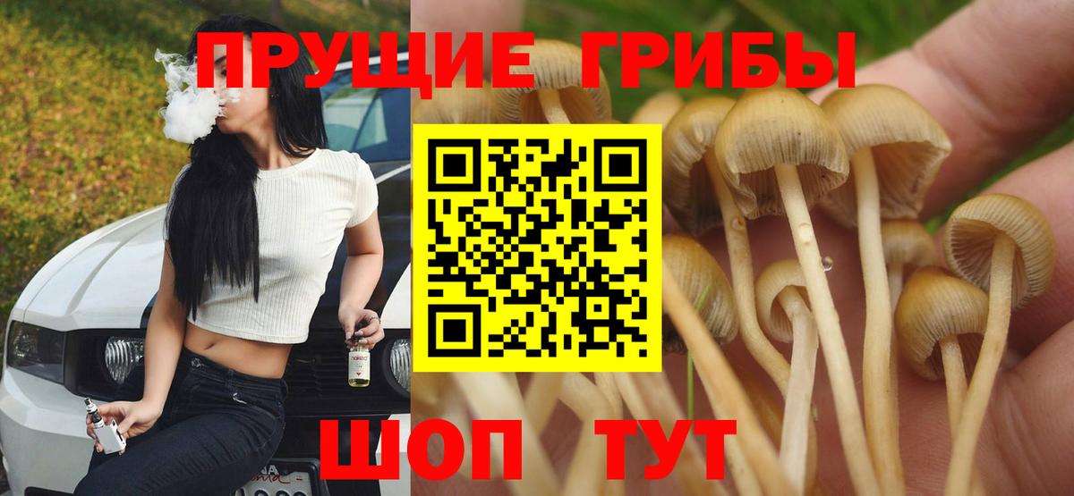 Галлюциногенные грибы Cubensis  Вход с VPN  Галлюциногенные грибы мицелий  Солнечногорск 